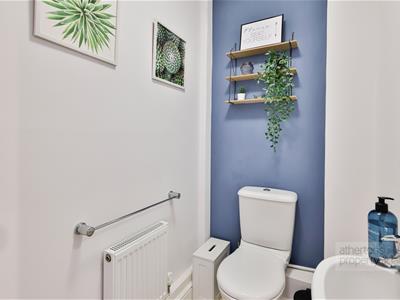 Picture 9